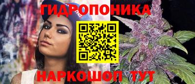 марихуана Будённовск