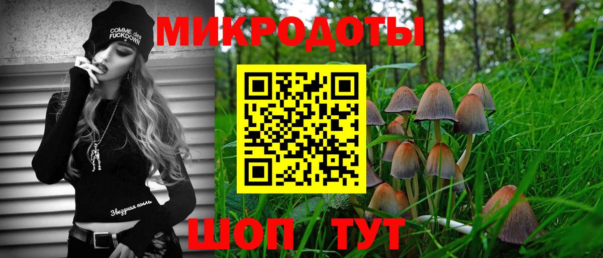 Псилоцибиновые грибы Psilocybine cubensis Семёнов