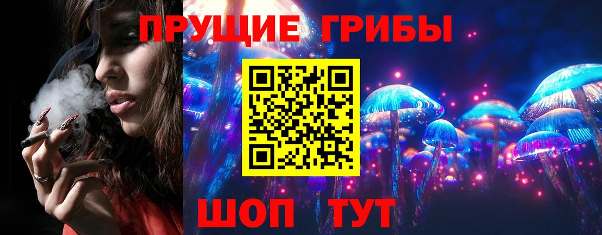 Псилоцибиновые грибы Psilocybine cubensis  Вход с VPN  Семёнов 